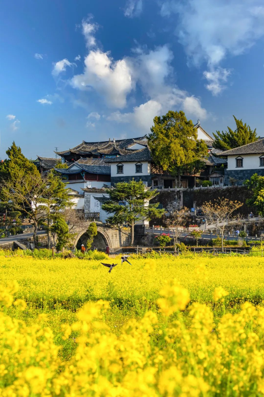 Yunnan Scenery
