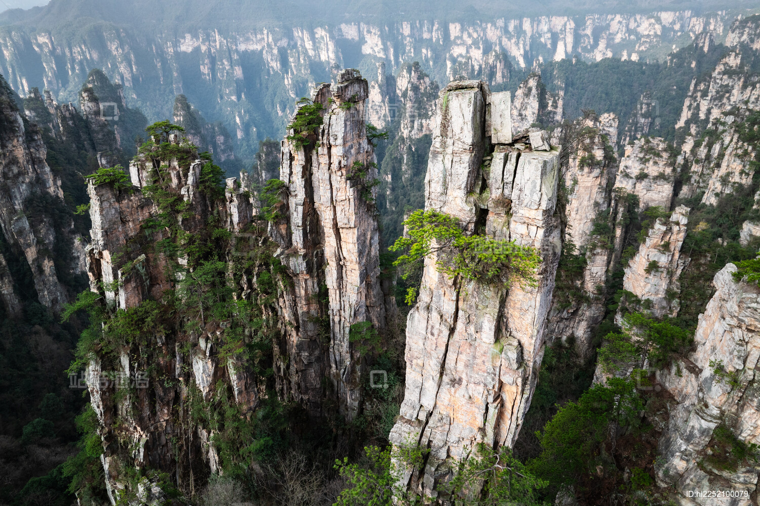 Tianzi Mountain Scenic Area