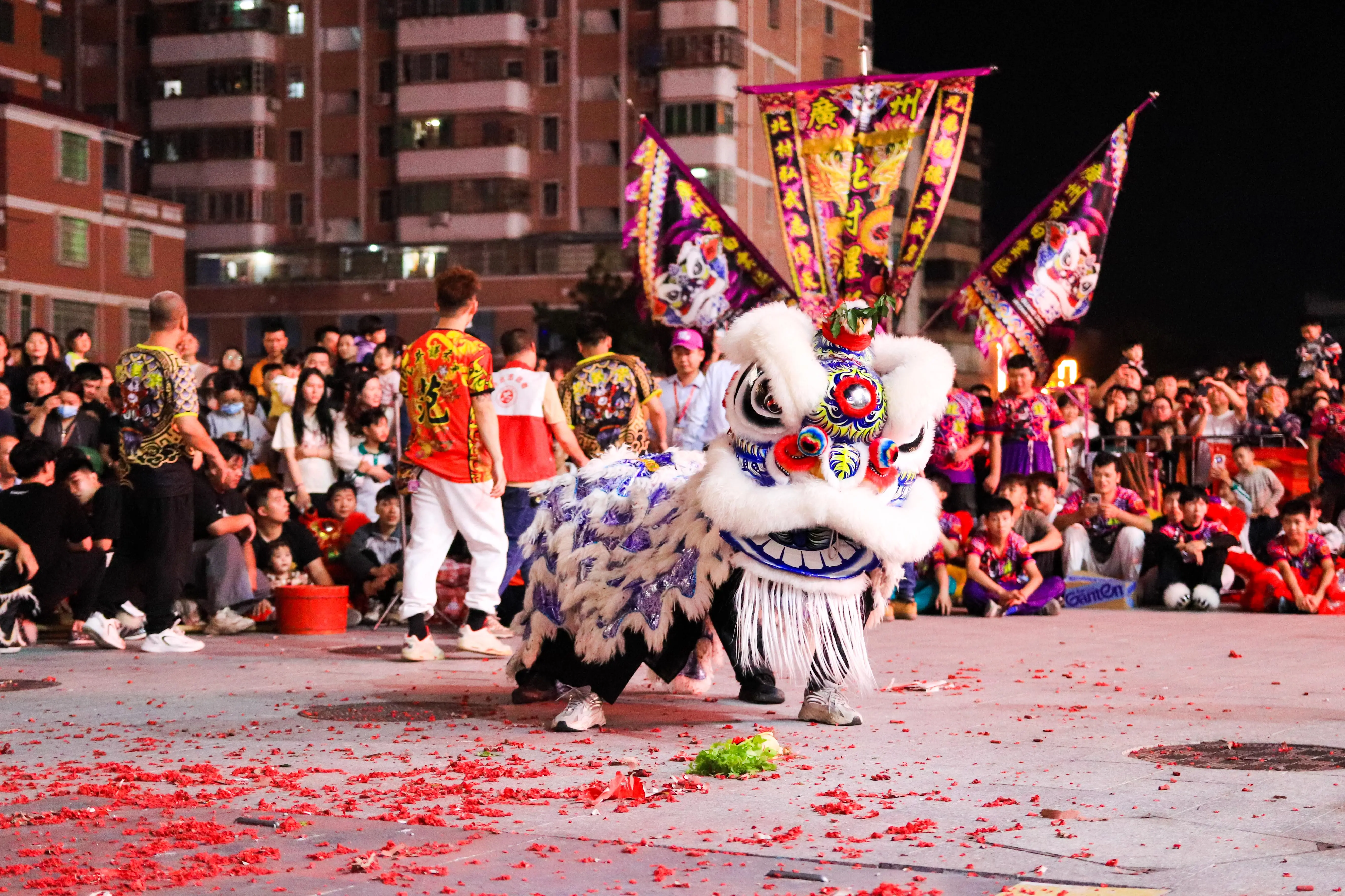 Guangdong Lion Dance Performance