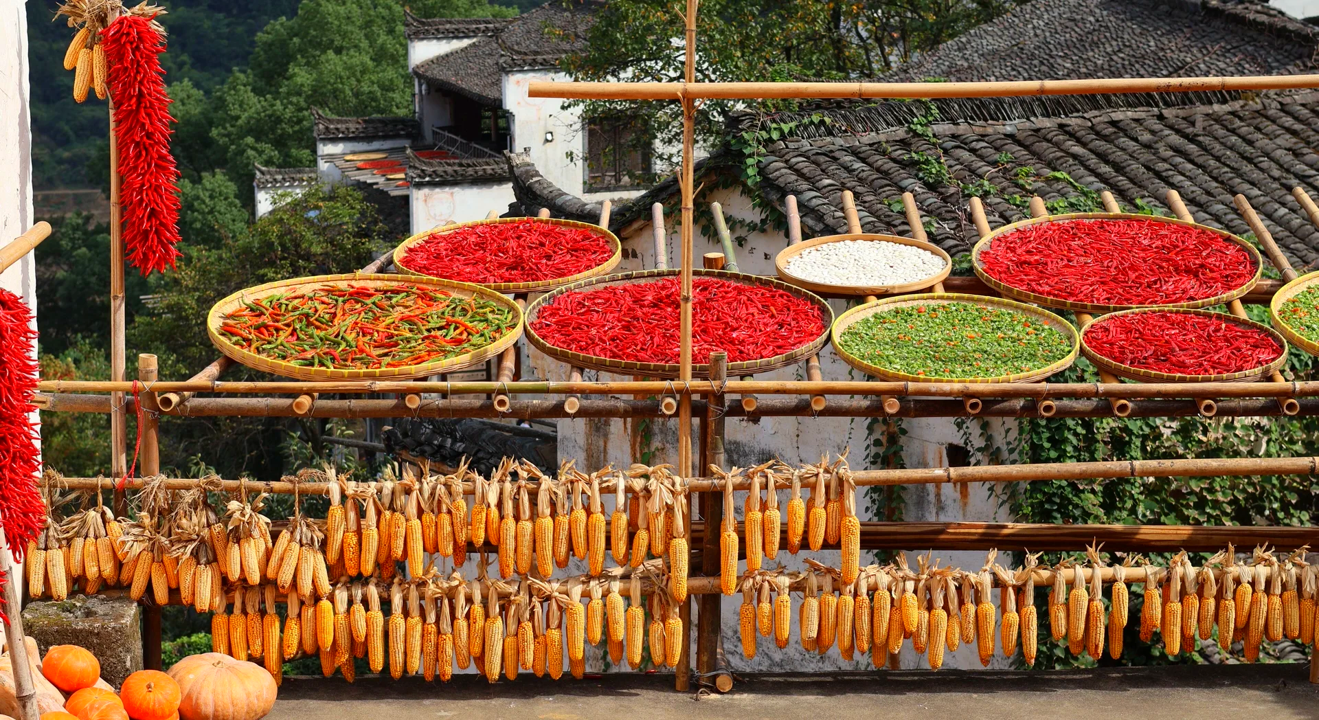 Wuyuan autumn scenery, with red leaves and ancient villages creating a colorful landscape