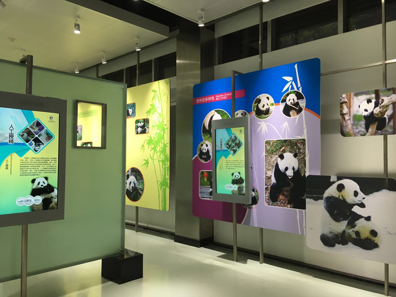 Panda Science Discovery Hall