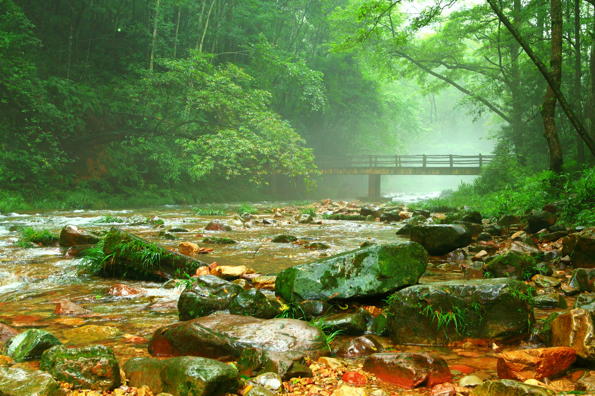 Golden Whip Stream Scenic Area