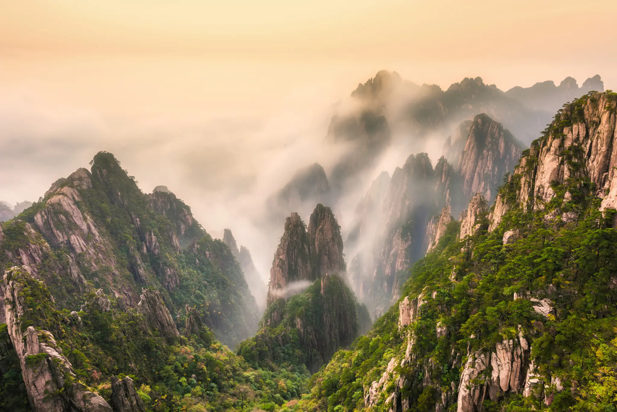 Huangshan Scenic Area